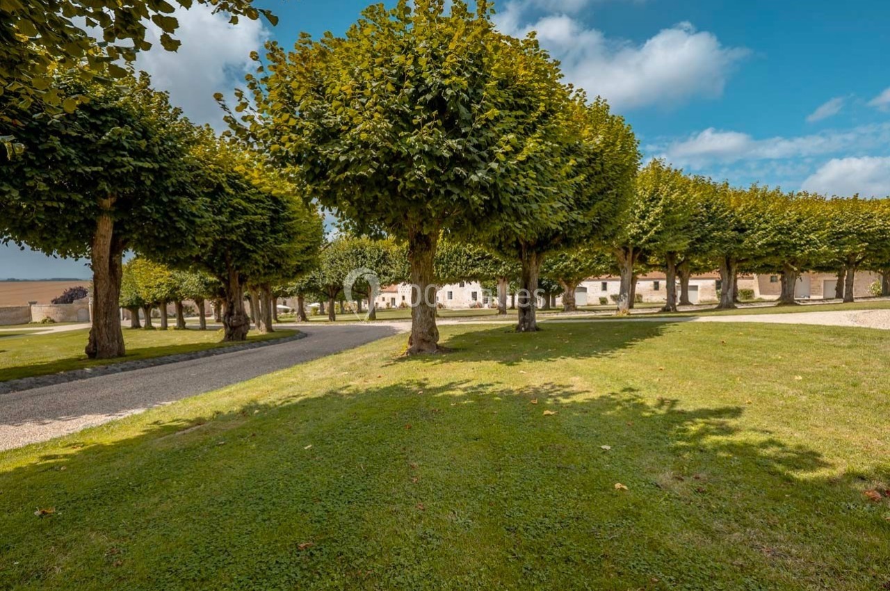 Allée bordée d'arbres taillés, entourée de pelouses, avec des bâtiments clairs en arrière-plan sous un ciel bleu.