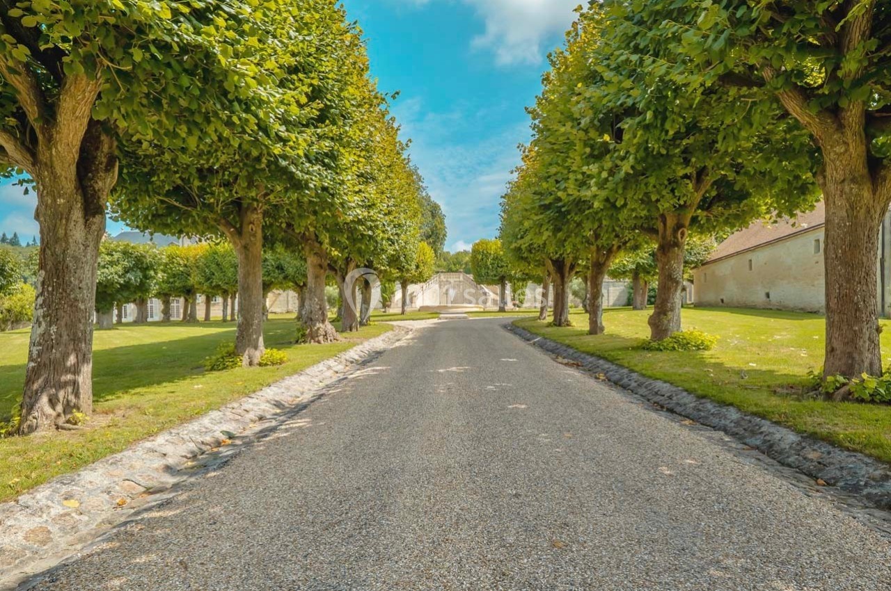 Allée bordée d'arbres taillés symétriquement, menant à un mur en pierre sous un ciel dégagé.