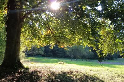 Location salle Salonnes (Moselle) - Domaine de Burthecourt #33