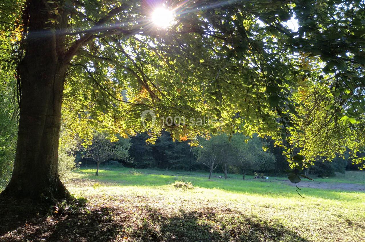 Location salle Salonnes (Moselle) - Domaine de Burthecourt #7