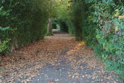 Location salle Salonnes (Moselle) - Domaine de Burthecourt #33