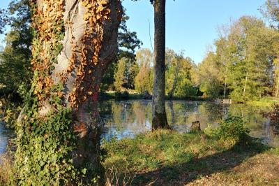 Location salle Salonnes (Moselle) - Domaine de Burthecourt #33