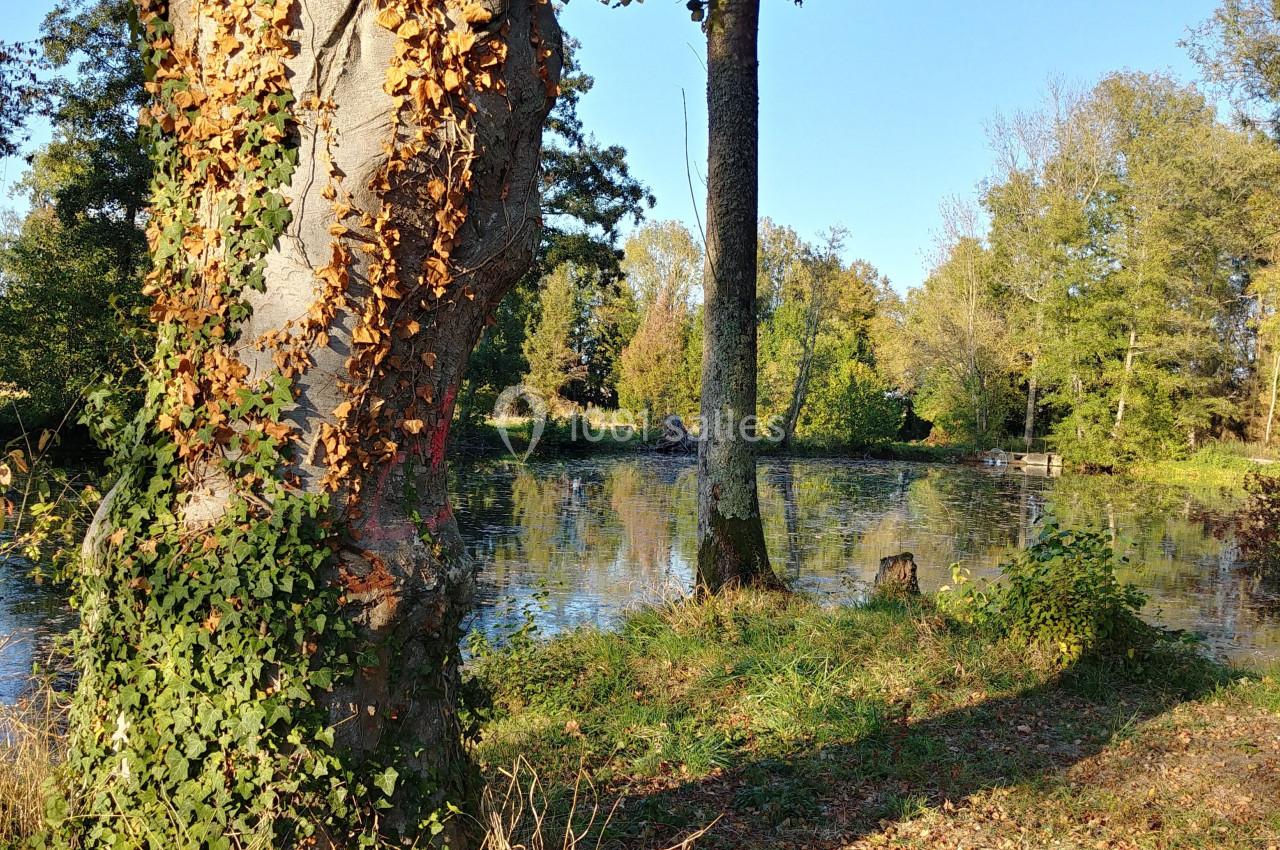 Location salle Salonnes (Moselle) - Domaine de Burthecourt #20