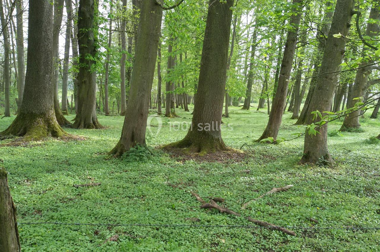 Location salle Salonnes (Moselle) - Domaine de Burthecourt #6