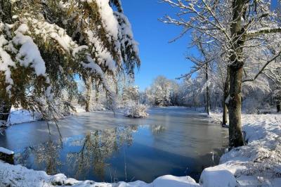 Location salle Salonnes (Moselle) - Domaine de Burthecourt #33