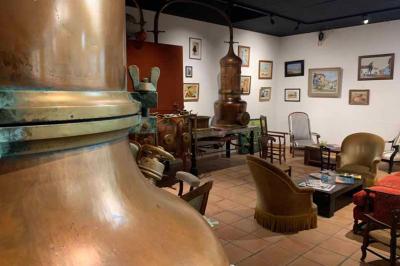 Location salle Saint-Jean-de-Luz (Pyrénées-Atlantiques) - Tokiko #24