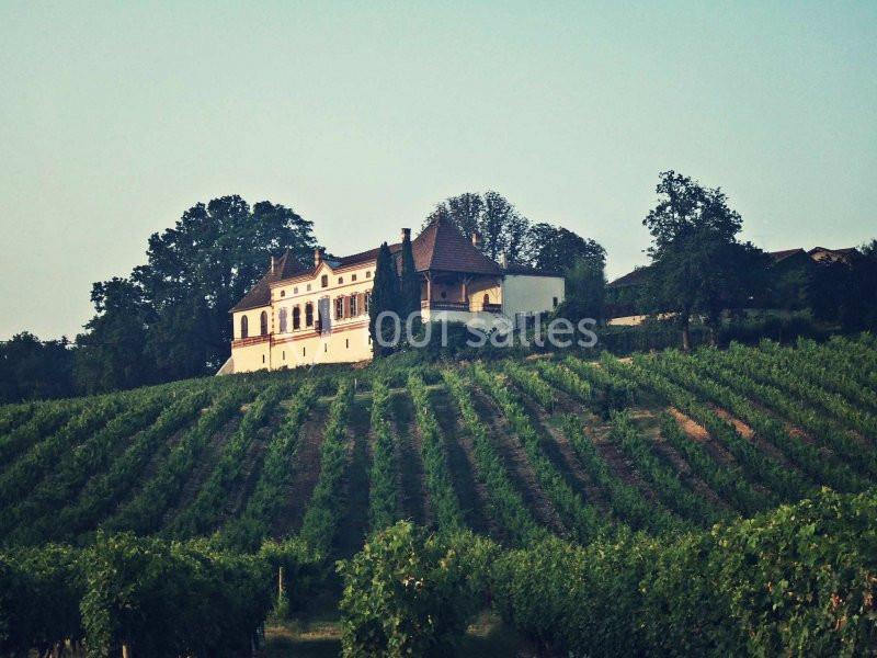 Grand bâtiment entouré d'arbres, situé au sommet d'une colline couverte de vignes bien alignées.