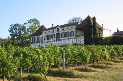 Château Labastidié Château Labastidié
