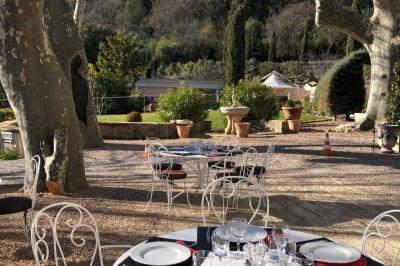 Champ d'oliviers verdoyants sous un ciel clair, entouré de collines et de végétation méditerranéenne.