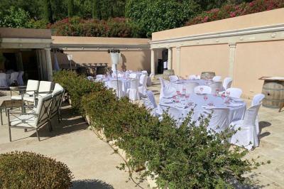 Champ d'oliviers verdoyants sous un ciel clair, entouré de collines et de végétation méditerranéenne.