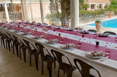 Champ d'oliviers verdoyants sous un ciel clair, entouré de collines et de végétation méditerranéenne.