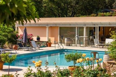 Champ d'oliviers verdoyants sous un ciel clair, entouré de collines et de végétation méditerranéenne.