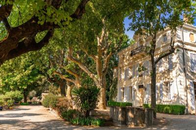 Champ d'oliviers verdoyants sous un ciel clair, entouré de collines et de végétation méditerranéenne.