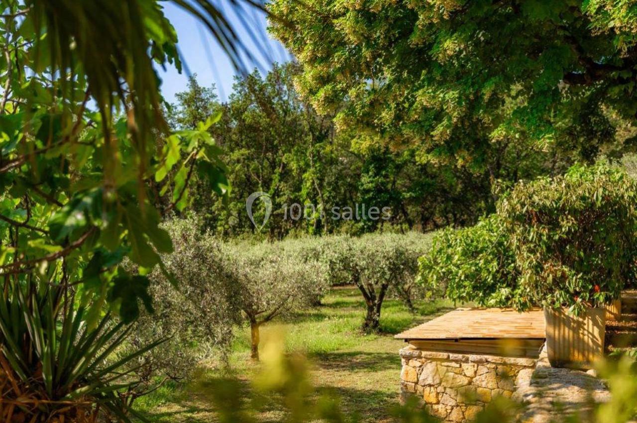 Vue d'un jardin méditerranéen avec des oliviers, des arbres verdoyants et une terrasse en pierre sous un ciel dégagé.