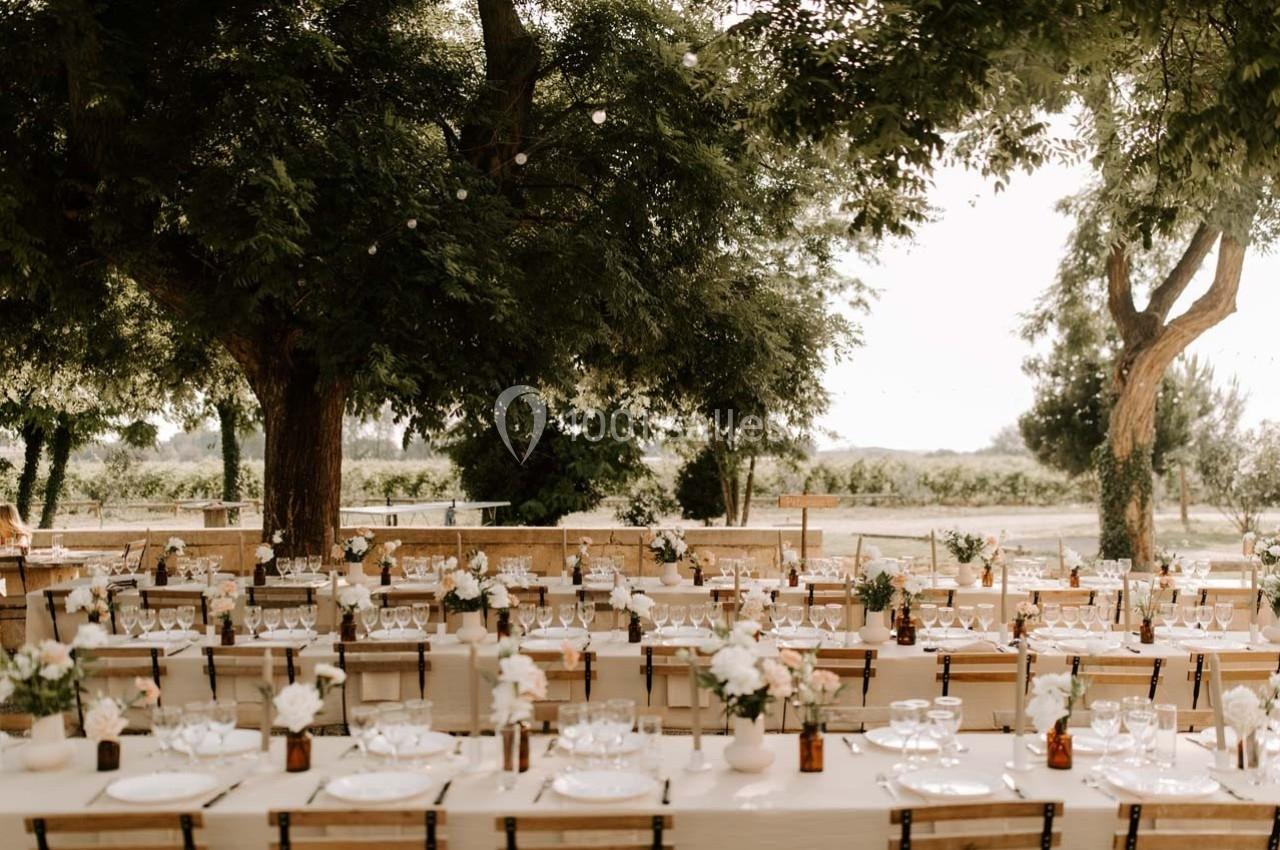 Tables dressées en extérieur sous des arbres, décorées de fleurs blanches et de vaisselle élégante.