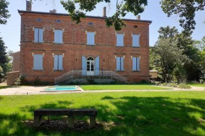 Piscine rectangulaire entourée de dalles et pelouse, avec un grand arbre en arrière-plan sous un ciel dégagé.