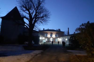 Piscine rectangulaire entourée de dalles et pelouse, avec un grand arbre en arrière-plan sous un ciel dégagé.