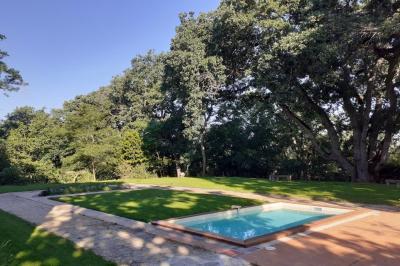 Piscine rectangulaire entourée de dalles et pelouse, avec un grand arbre en arrière-plan sous un ciel dégagé.