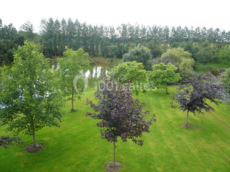 Arbres espacés sur une pelouse verte avec un étang et une rangée d'arbres en arrière-plan.