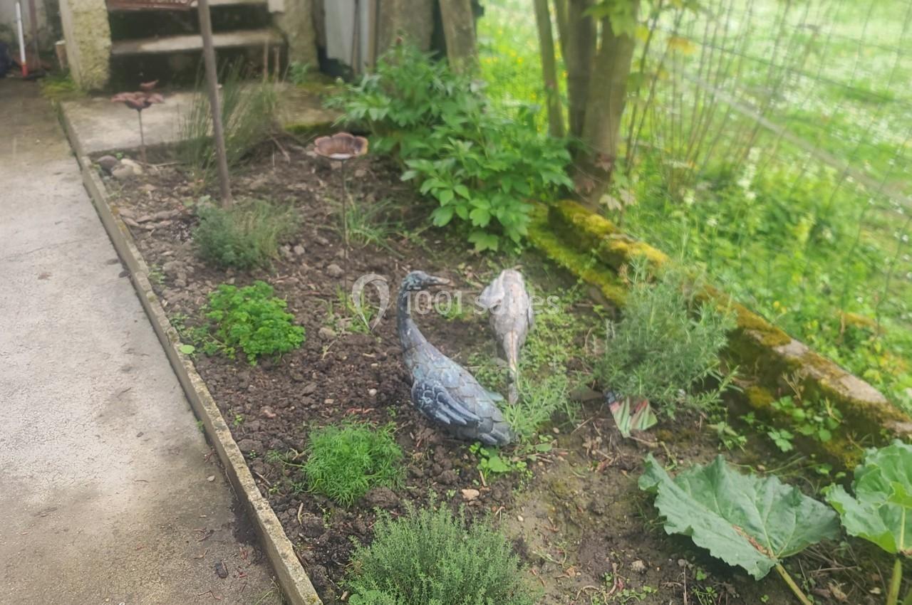 Massif de plantes aromatiques avec sculptures d'oiseaux en métal, bordé par un muret et entouré de verdure.