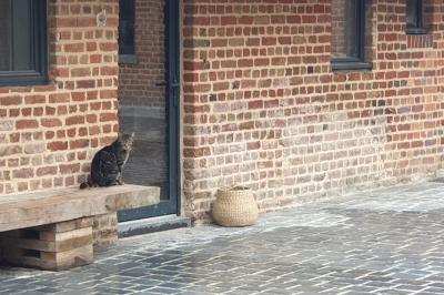 Photographie en noir et blanc d'un couple s'embrassant, la femme en robe de mariée, devant une structure en bois.