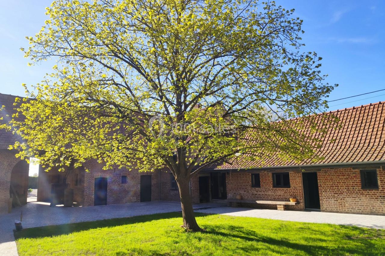 Arbre feuillu au centre d'une cour pavée, entouré de bâtiments en briques sous un ciel bleu clair.
