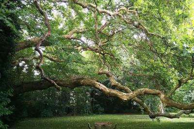 Location salle Saint-Brice-sous-Forêt (Val-d'Oise) - Château de St Brice #33