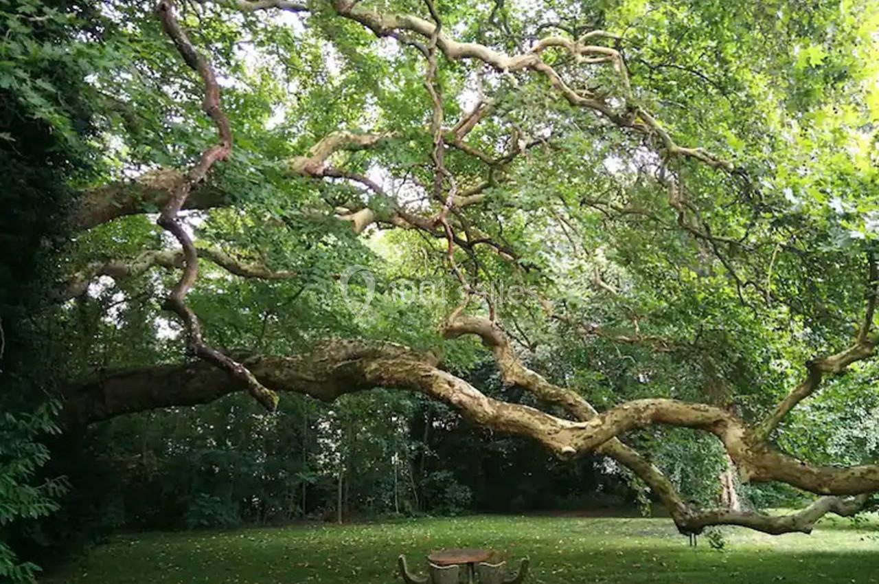 Location salle Saint-Brice-sous-Forêt (Val-d'Oise) - Château de St Brice #15