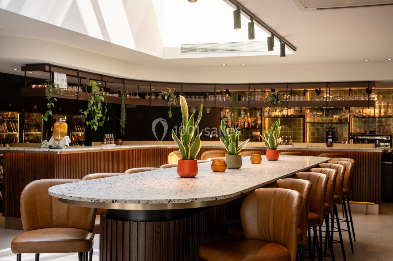 Salle lumineuse avec un grand comptoir en marbre entouré de chaises en cuir et décoré de plantes en pot.