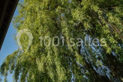 Location salle Nieppe (Nord) - Le Clos Du Bac #5