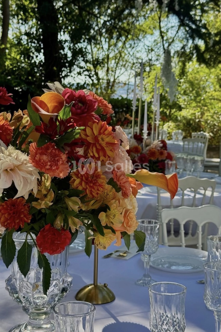 Le Domaine de Montmorency - galerie - photo 6