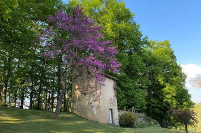 Salle de restaurant avec tables rondes dressées, nappes blanches, chaises en bois et éclairage tamisé.