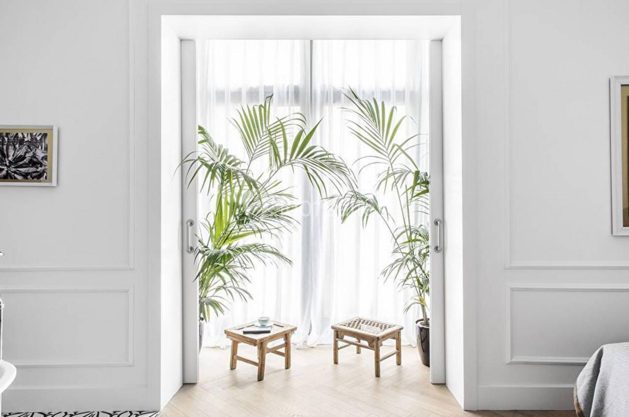 Deux plantes vertes encadrent une porte-fenêtre avec rideaux blancs, éclairant une pièce au décor minimaliste.