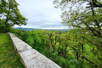 Location salle Jujurieux (Ain) - Château de Chenavel #21