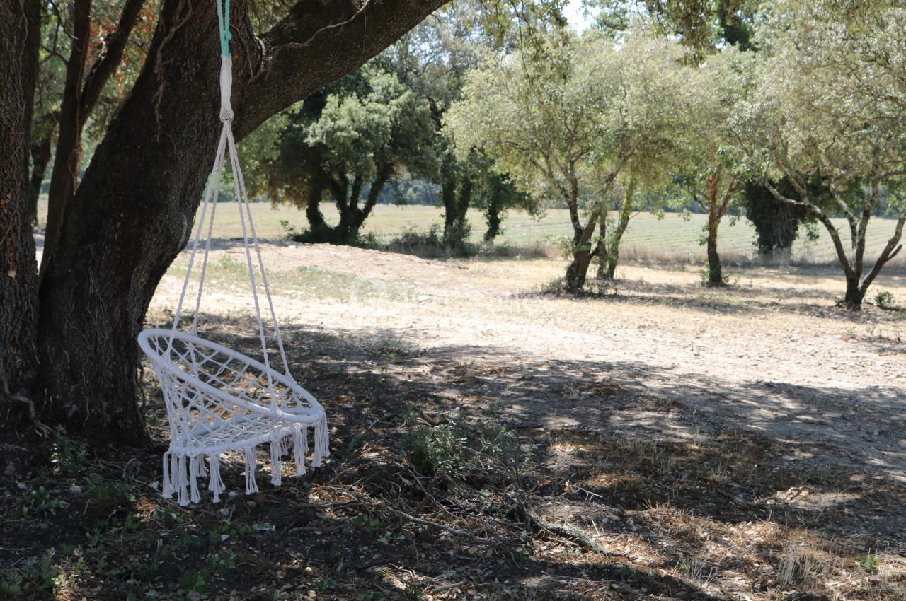 Location salle Grignan (Drôme) - Domaine du Bijoutier #3