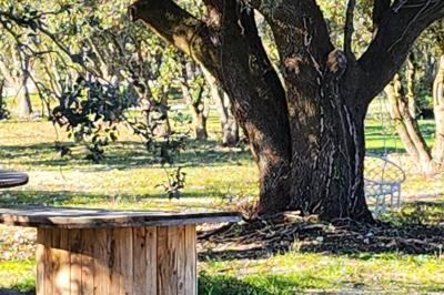 Location salle Grignan (Drôme) - Domaine du Bijoutier #32