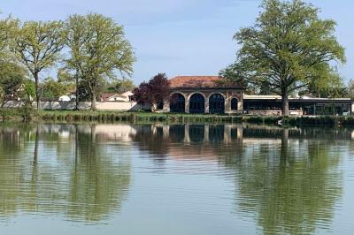 Table ronde élégamment dressée avec des assiettes blanches, des couverts dorés et un bouquet de roses, près d'une baie…