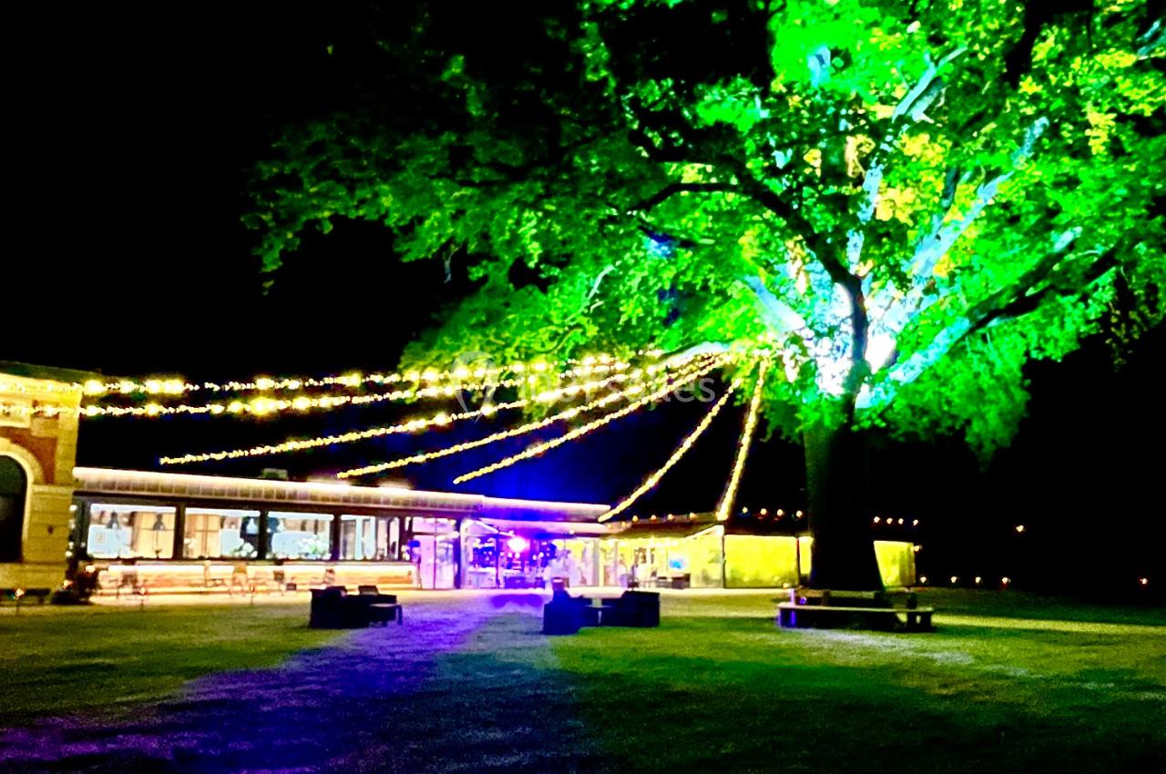 Un grand arbre illuminé en vert avec des guirlandes lumineuses, près d'un bâtiment éclairé, de nuit.