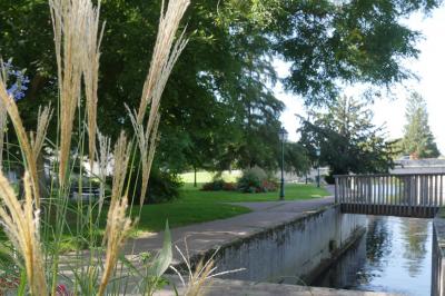 Salle de conférence vide avec des rangées de chaises noires, un écran de projection et des tables à l'avant.