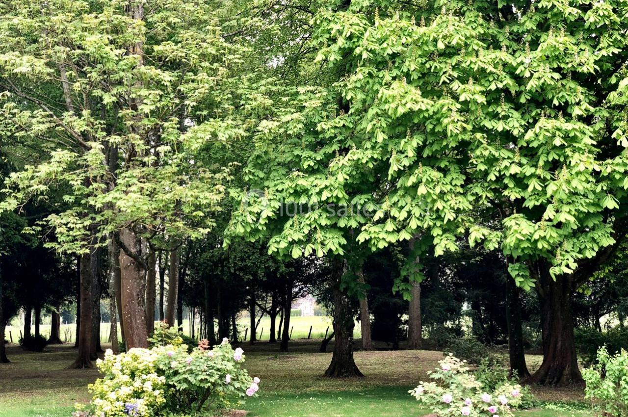 Location salle Valframbert (Orne) - Château des Requêtes  #6