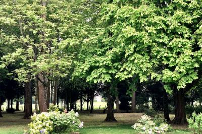 Location salle Valframbert (Orne) - Château des Requêtes  #72