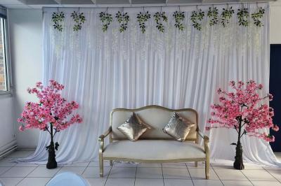 Plateaux de fruits variés avec morceaux d'orange, pomme, kiwi, mangue, groseilles et ananas garni de myrtilles.