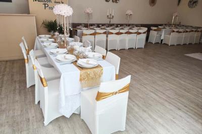 Plateaux de fruits variés avec morceaux d'orange, pomme, kiwi, mangue, groseilles et ananas garni de myrtilles.