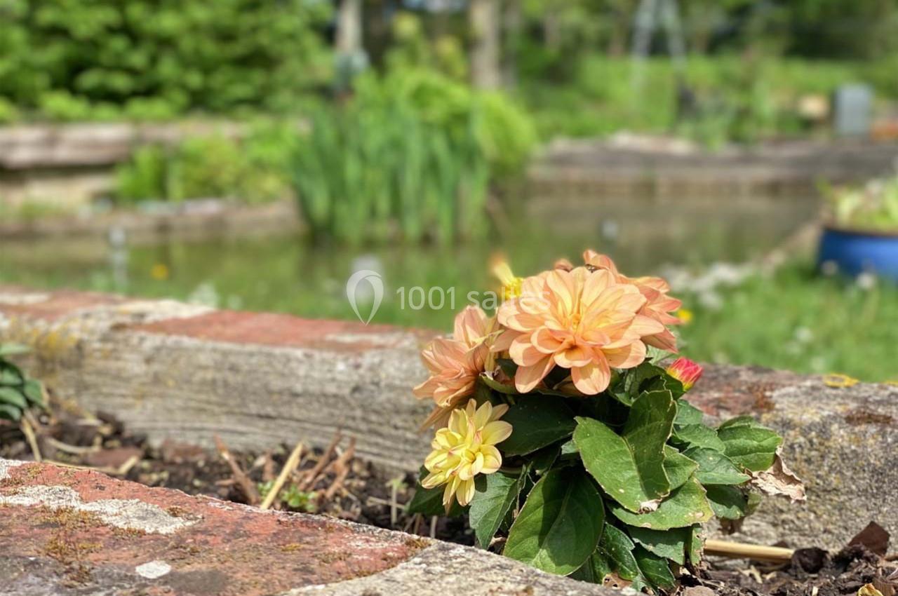 Fleur orange et jaune épanouie dans un parterre de jardin, avec un étang et de la verdure en arrière-plan.