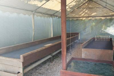 Illustration d'une loupe stylisée avec un cercle central et une poignée inclinée vers la droite.