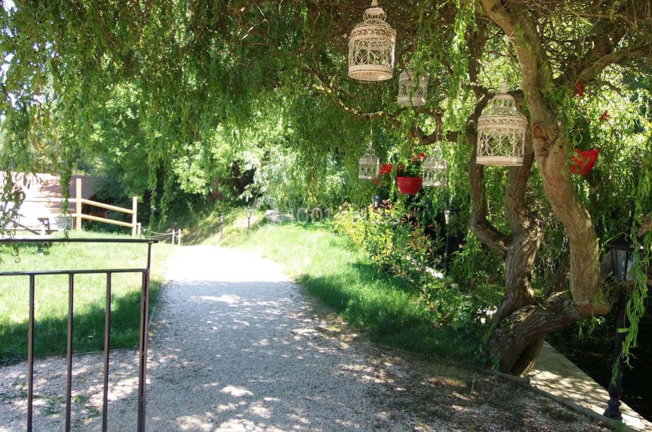 Allée ombragée bordée de verdure avec des lanternes suspendues à un arbre et un chemin en gravier.