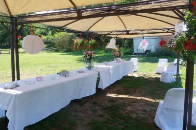 Chambre lumineuse avec lits en bois, bureau, armoire, décorations végétales et vue sur un jardin par la fenêtre.