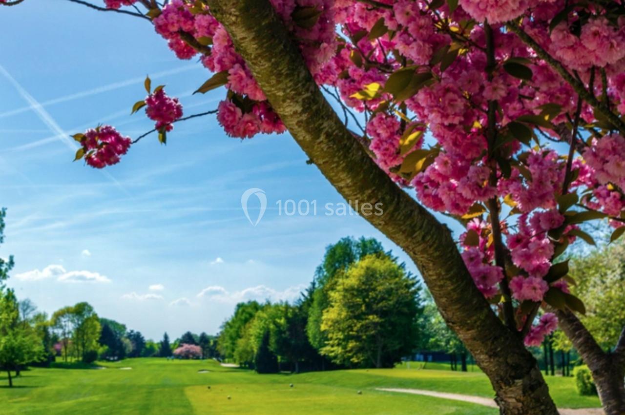 Arbre en fleurs roses au premier plan avec un paysage de parc verdoyant et ciel bleu en arrière-plan.