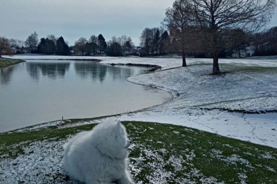 Plateau d'éclairs salés disposés sur une table avec des bouteilles de champagne dans un seau de glace en arrière-plan.