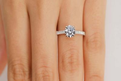 Photo Maison Celinni de Montpellier #58